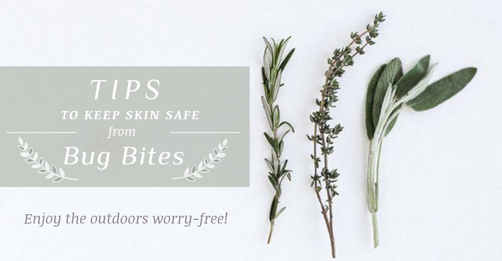 Tips to Naturally Keep Skin Safe from Bug Bites