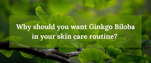 Why Should You Want Ginkgo Biloba in Your Skin Care Routine?