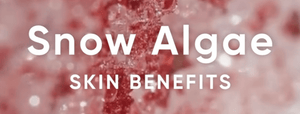 SNOW ALGAE: Incredible New Ingredient to Defy Skin Aging
