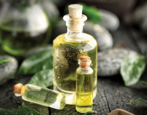 Australian Tea Tree Oil Ingredient Spotlight on Acne