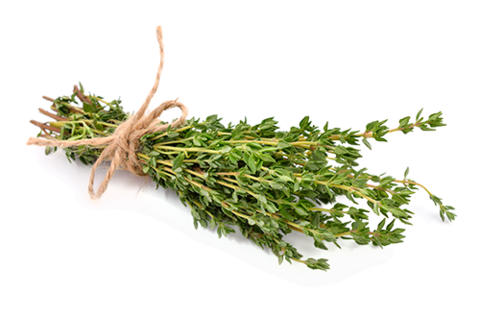 Thyme - A Natural Remedy